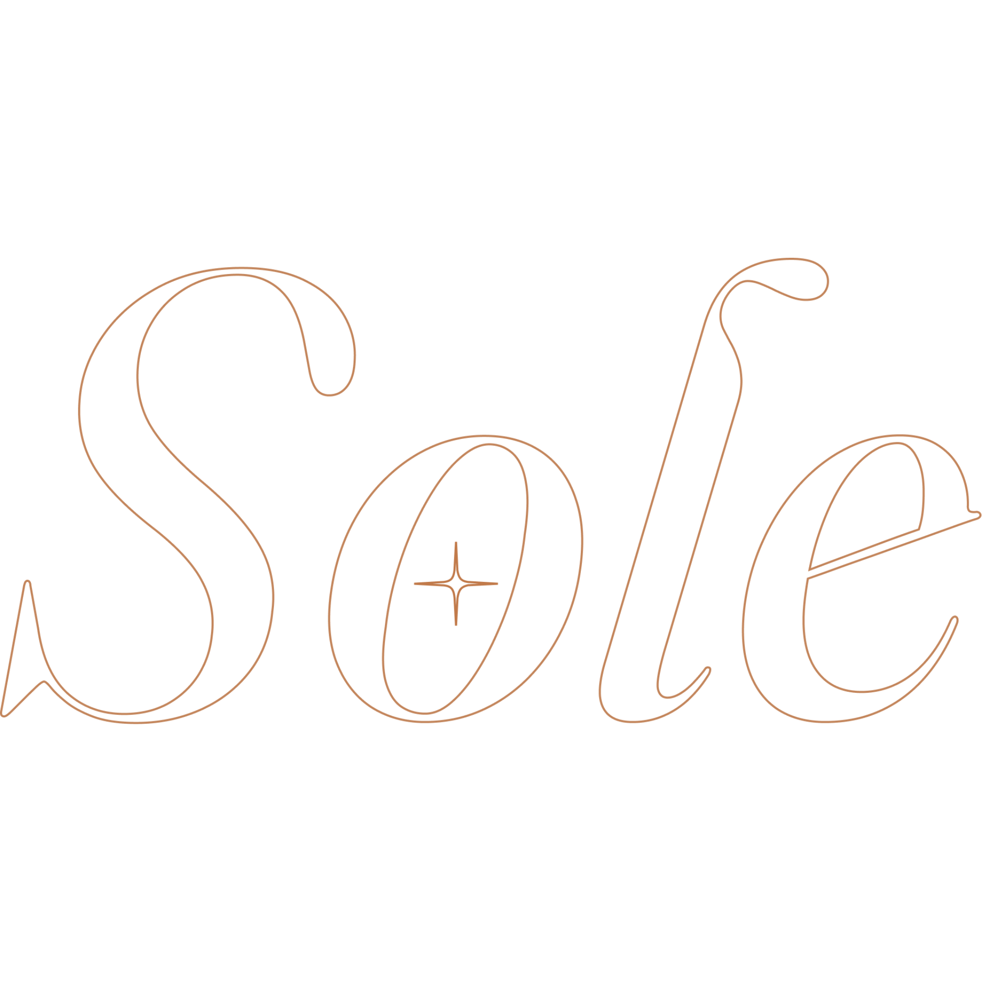 Sole Agency